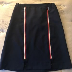 Vintage skirt interchangeable zippered panels.